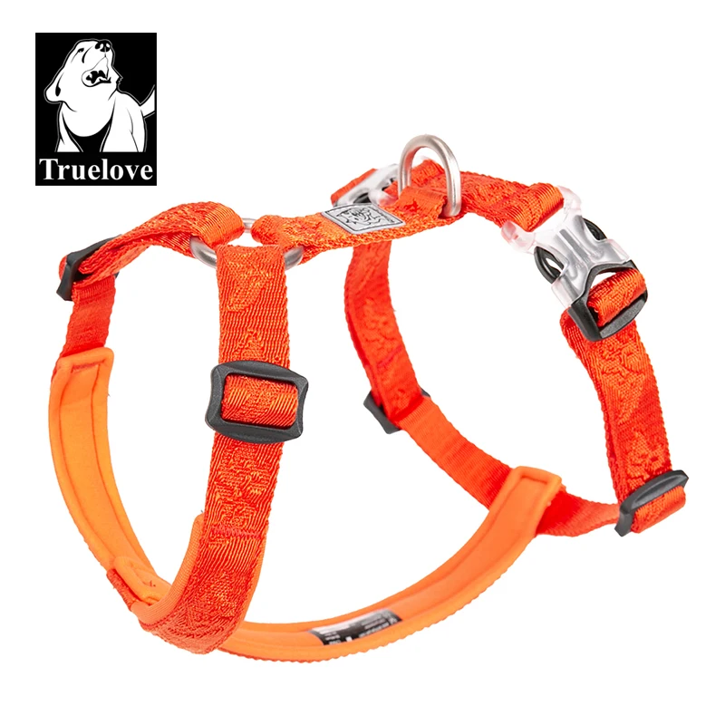 TRUELOVE Pet Hairy Usag Premiu - Runners Gear review and price