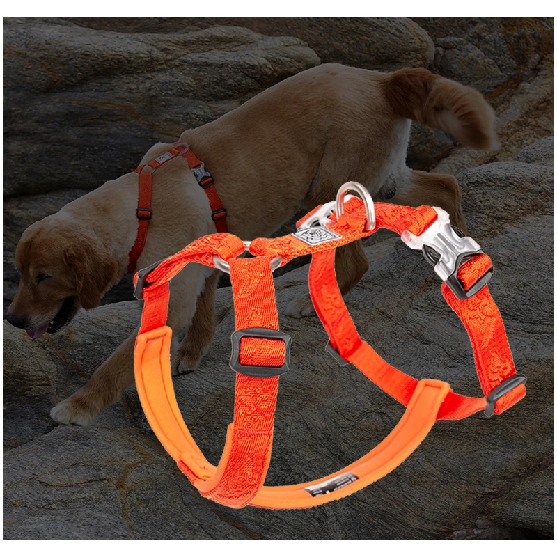 TRUELOVE Pet Hairy Usag Premiu - Runners Gear review and price