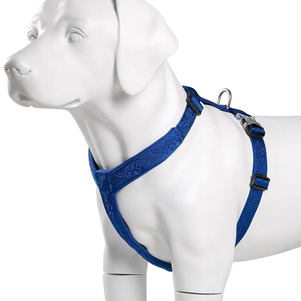 TRUELOVE Pet Hairy Usag Premiu - Runners Gear review and price